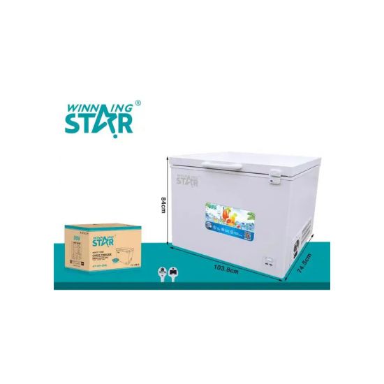 Սառցարան Winning Star ST-BD-258L - 25401