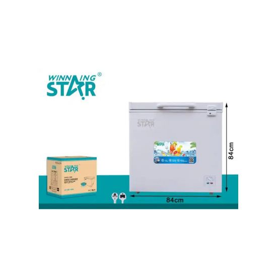 Սառցարան Winning Star ST-BD-158L - 25402